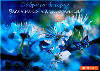 Доброго_вечера_03_04