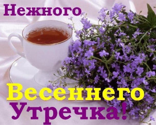 Весеннего_утречка_05_03