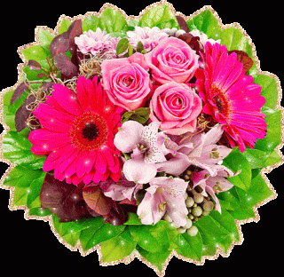 цветы анимация