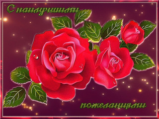 С_наилучшими_пожеланиями
