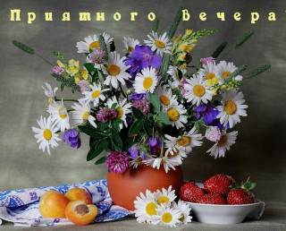Приятного_вечера_07