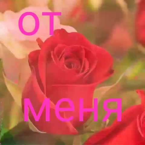 Красивая песня