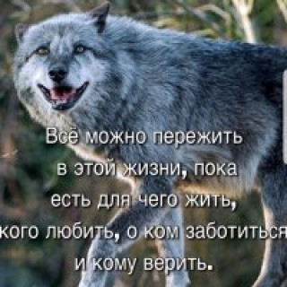 76712757_f_201_200_0