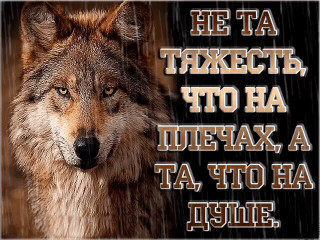 Tjazhest-
