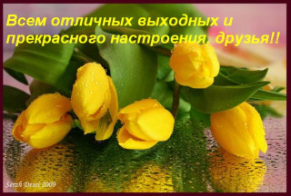 Всем_отличных_выходных