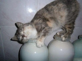 tgluhEr9YaM