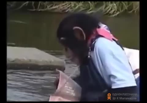 друг_в_беде_не_бросит