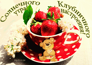 Солнечного_утра_13