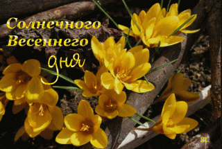Весеннего_дня_03