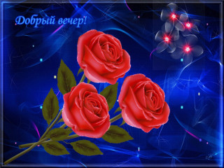 Добрый_вечер_13_03