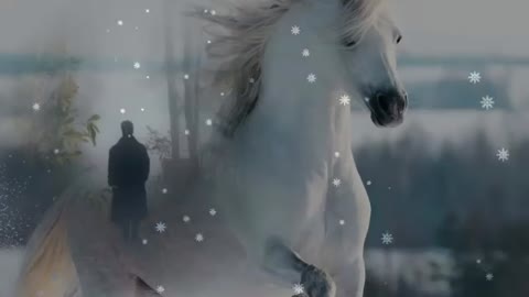 Песня_до_слез_СУДЬБА_
