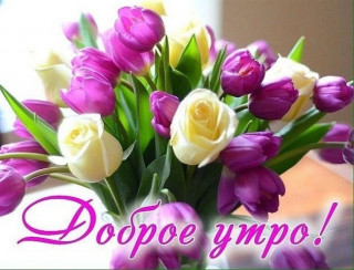 Доброе_утро_14_03