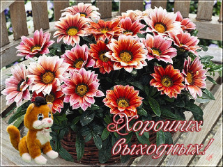 Хороших_выходных_15
