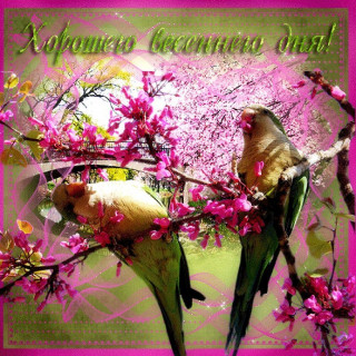 Хорошего_весеннего_дня_18
