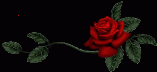 Foiz__Foiz__8366ab9bea7a