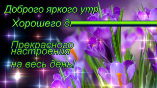 Доброго_яркого_утра_19