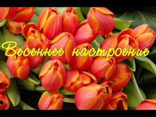 Весеннего_настроения_19