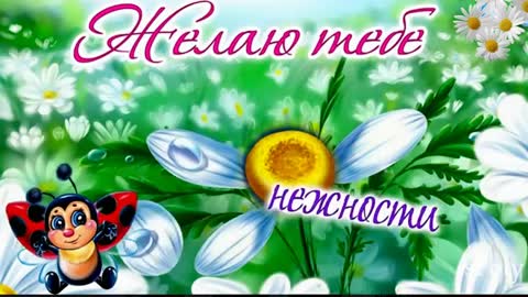 Я_ЖЕЛАЮ_ТЕБЕ_позитив_для_друзей